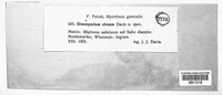 Gloeosporium niveum image